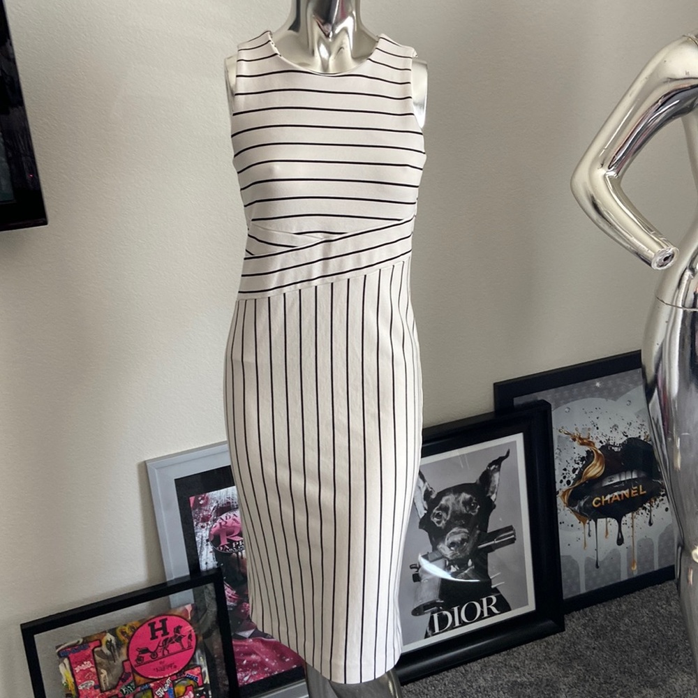 Ann Taylor Bodycon Dress